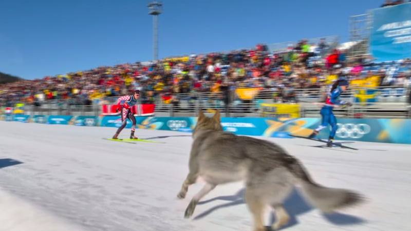 En esta imagen, tomada de un video proporcionado por Olympic Broadcasting Services (OBS), un...