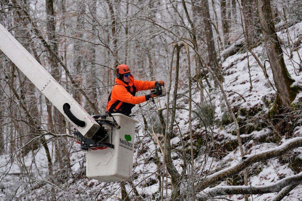 Austin Bradbury usa una motosierra para talar un árbol sobre una carretera el viernes 30 de...