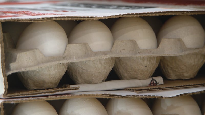 USDA data shows wholesale prices averaged about 67 cents per dozen in the second quarter of 2026.